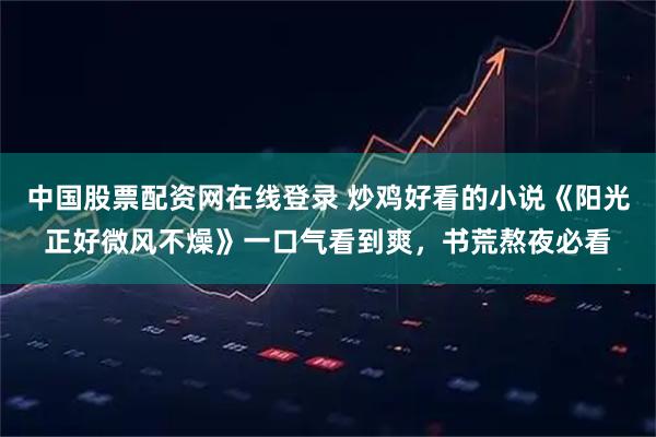 中国股票配资网在线登录 炒鸡好看的小说《阳光正好微风不燥》一口气看到爽，书荒熬夜必看